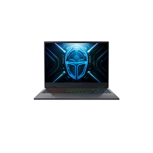 【闪电加补300+国补15%】雷神猎刃16 英特尔酷睿13代i7HX电竞游戏笔记本电脑独显满血RTX5070/5080官方旗舰店