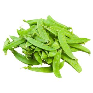 荷兰豆种籽种子豌豆苗四季甜老品种豌豆种籽孑籽种蚕豆菜籽尖碗豆