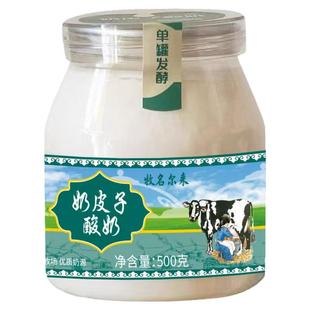 奶皮子酸奶内蒙古特产奶制品无蔗糖低温生牛乳早餐奶皮老酸奶菌种