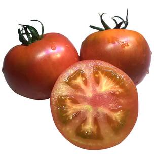 盘锦碱地西红柿小时候味道老品种自然熟现摘农家脆皮番茄新鲜包邮