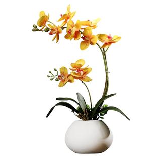中式仿真蝴蝶兰花艺套装摆件创意客厅餐桌假花桌面小盆栽装饰摆设