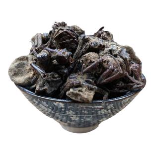 中药材黑蜘蛛 精选新货 大黑蜘蛛干 药用黑蜘蛛10只包邮 支持药检