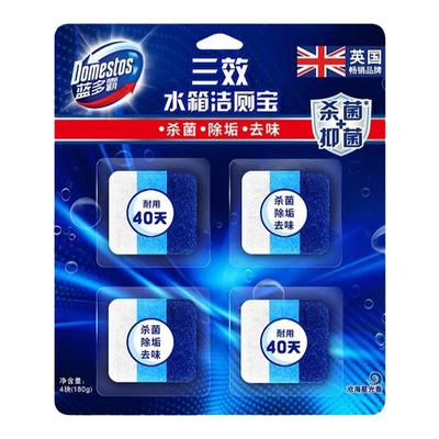 蓝多霸洁厕宝抑菌去味除垢除臭