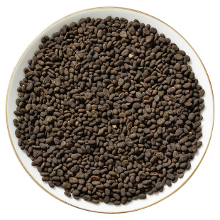 野生补骨脂中药材官方旗舰店正品 又称黑故子婆固脂破故纸中药材