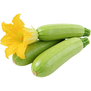 新鲜西葫芦瓜云南产地直发鲜嫩茭瓜三月瓜三叶瓜小瓜应季蔬菜包邮