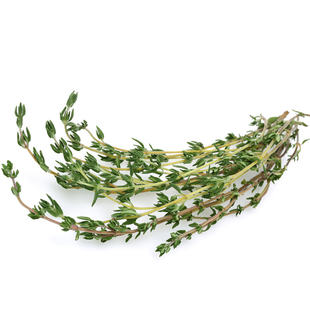 新鲜百里香250g 西餐牛排烘焙烧烤肉串调料香料配菜麝香草山胡椒