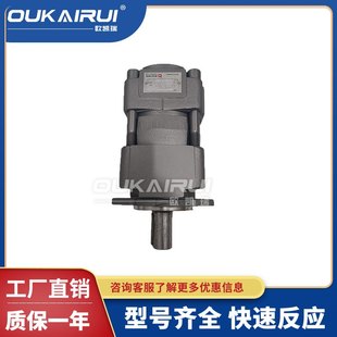 53QXEH52 布赫BUCHER液压齿轮泵QXEH42 QX31 42定量 032R451