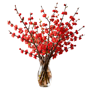 红梅干枝水培植物雪柳鲜枝带花苞鲜花卉室内水养玉兰花腊梅年宵花