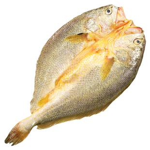 特大黄鱼鲞新鲜冷冻黄花鱼三去大黄鱼鲜活开背黄鱼霞浦宁德福建