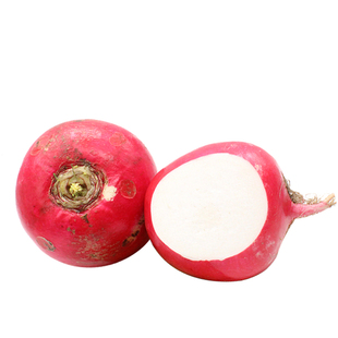 东北雌性大红圆萝卜种子红皮水果萝卜籽春夏秋季阳台盆栽蔬菜种孑