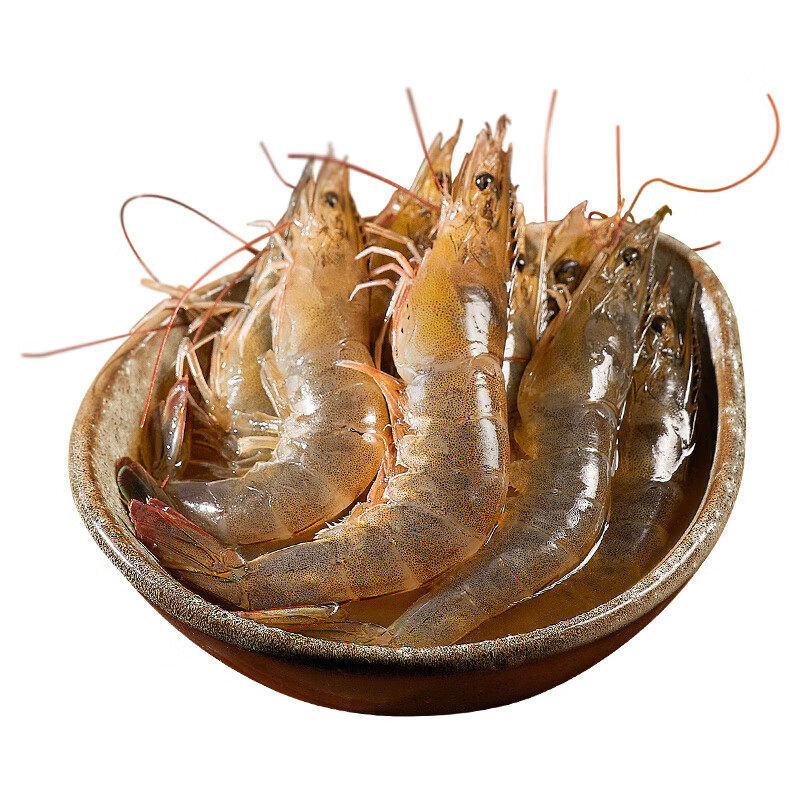【宁波特产】生腌醉虾500g*2桶