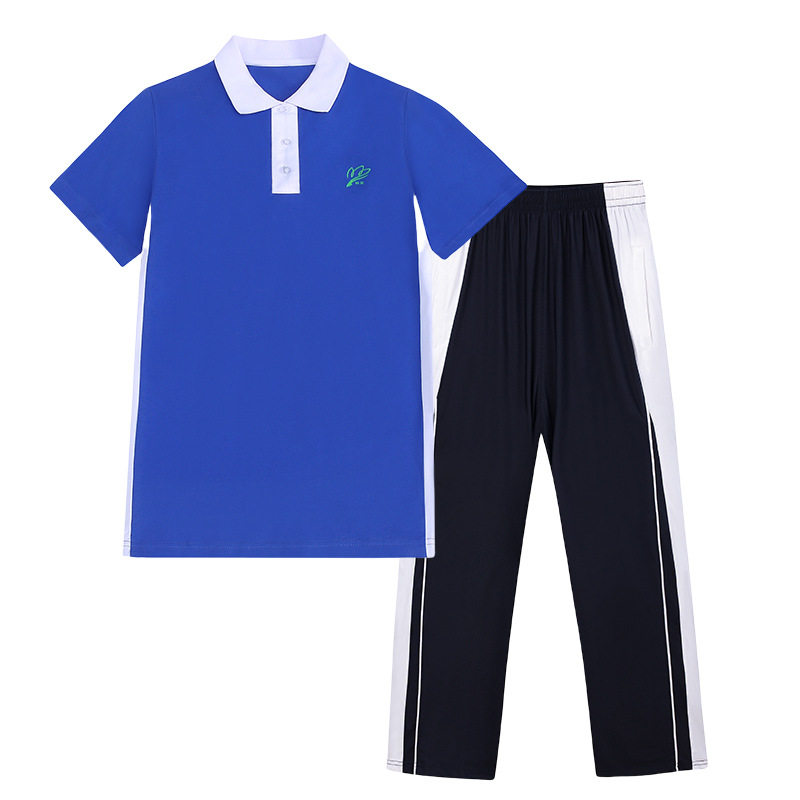 深圳中学生统一校服初中高中生夏季薄款速干短袖短裤冰丝校服长裤