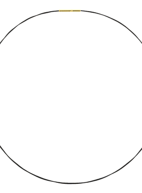 DIRCO不锈钢防水细choker项圈