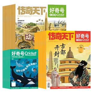 好奇号杂志2026年1月新2025年1-12月【全年/半年订阅】2024/2023年过刊珍藏故宫传奇天下儿童少儿小学生自然阅读科普书籍星球万物