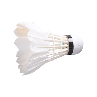 正品江山燕羽毛球 3260羽毛球耐打比赛训练专用球3只12只装羽毛球