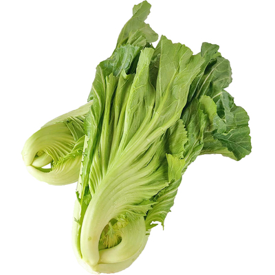贵州高山新鲜现砍青芥菜农家自种当季大叶包心芥菜可做泡酸菜蔬菜