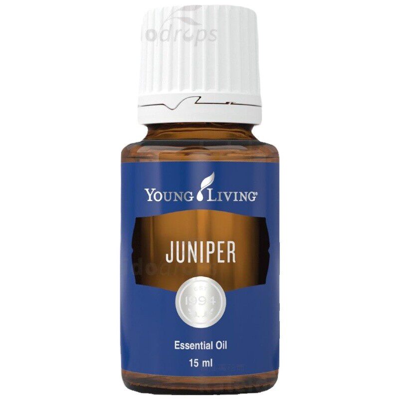 杜松Juniper单方精油清木质按摩