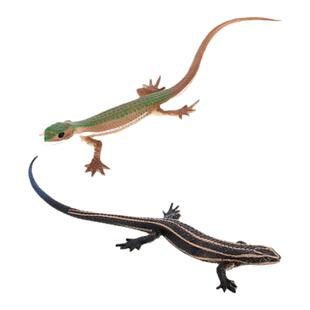 儿童玩具仿真野生爬行动物生物模型蜥蜴四脚蛇石龙子早教认知摆件