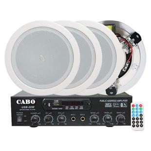 Hivi/惠威 TD205背景音乐定压吸顶喇叭吊顶音箱店铺天花广播音响