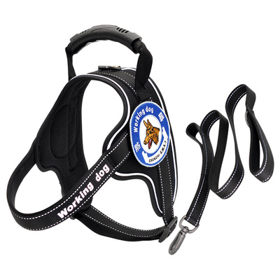 CHUKCHI金毛牵引绳大型犬胸背