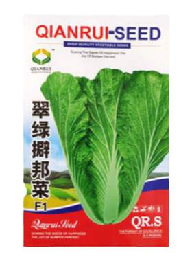 擗邦菜种子白菜籽高产