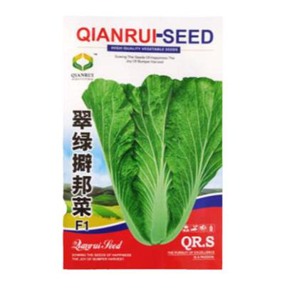擗邦菜种子白菜籽高产