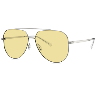 暴龙防远光灯夜视镜太阳眼镜男士日夜两用开车专用墨镜BL8087