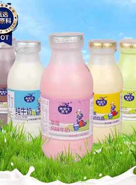费里生乳牛子母奶243ml纯牛奶巧克力草莓味哈密瓜味牛奶饮品饮料