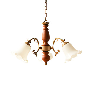 中古风 吊灯 轻奢 美式 复古 餐厅 卧室灯 北欧  客厅 民宿吊灯