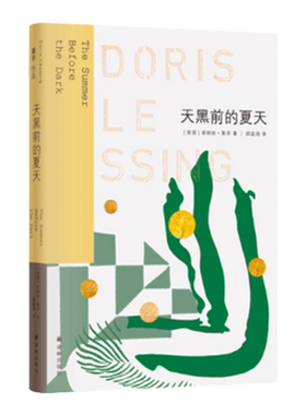 天黑前的夏天莱辛作品译林出版社