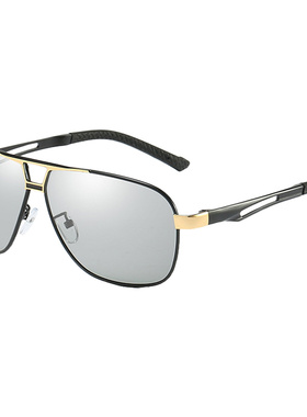 男士墨镜司机钓鱼太阳镜极龙变色