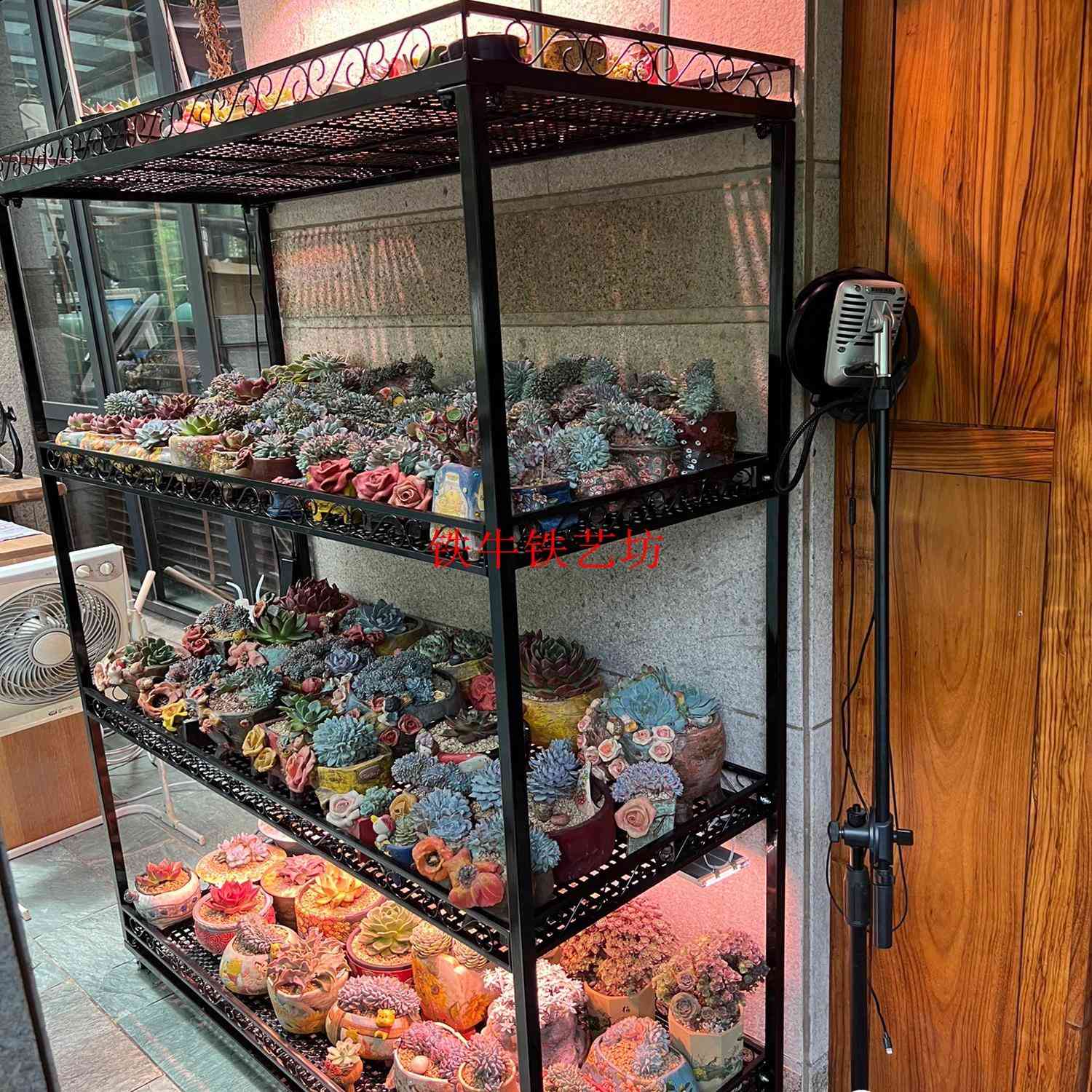 铁牛室内多肉植物补光灯专用花架多层可移动带轮多肉锥花盆架子