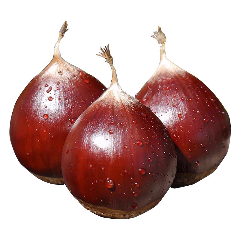 建瓯锥栗农家新鲜生板栗现摘油栗子带壳野生毛栗高山圆栗糖炒椎栗