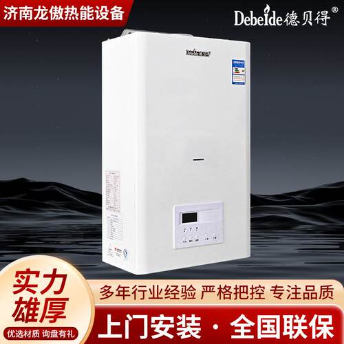 跨境家用立式壁挂炉智能恒温防冻节能供暖设备 燃气采暖热水炉