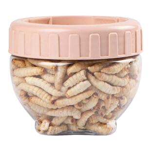 仓鼠零食金丝熊粮食冻干蜂蜜虫干蜜袋鼯松鼠花枝鼠食物增肥营养