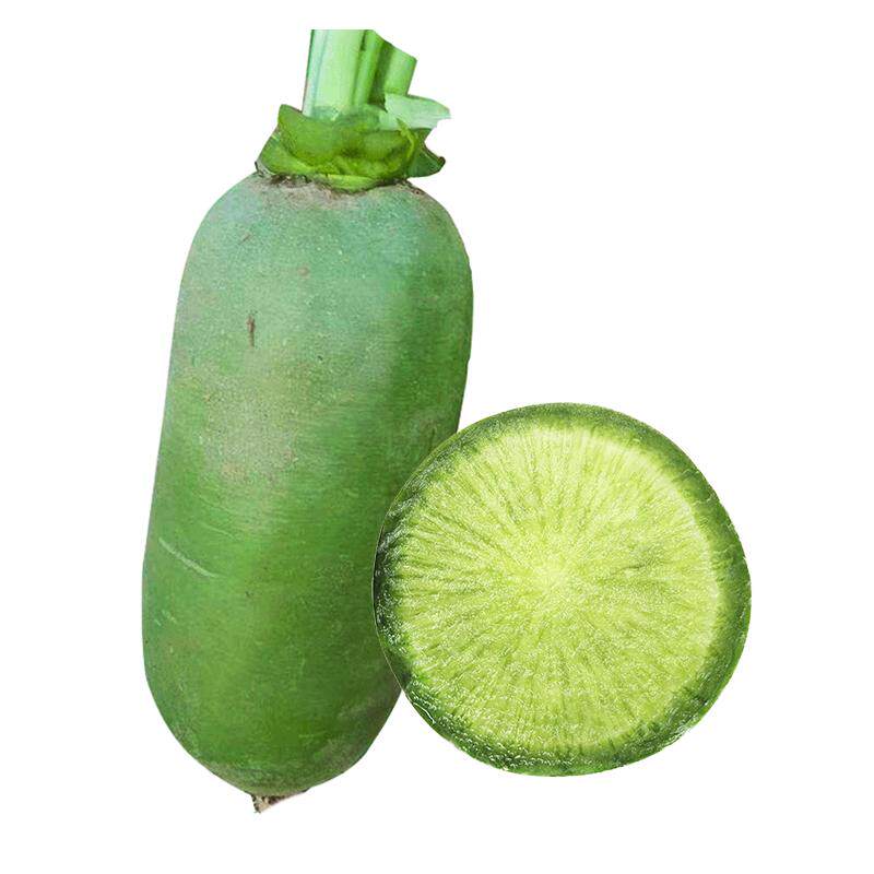 天津沙窝水果萝卜种子种籽子凤梨潍坊甜脆型籽种青孑大全罗卜菜种