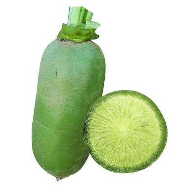 沙窝水果萝卜种脆甜多汁