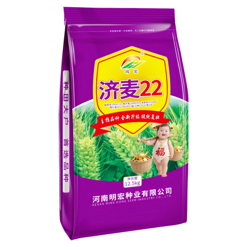 济麦22原种小麦种子强筋大穗耐寒高产矮杆抗倒山东农科院冬小麦种