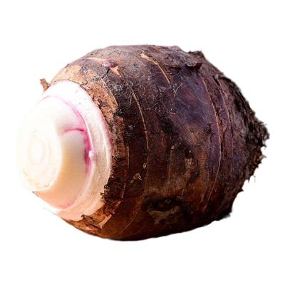 荔浦大芋头粉糯香现挖现发