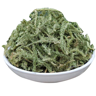 正品伸筋草中药材野生伸筋草500g克舒筋草泡脚身筋草马尾筋草石松