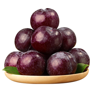 黄肉黑布林李子新鲜应当季水果现摘黄心李子黑布林黄肉恐龙蛋大果