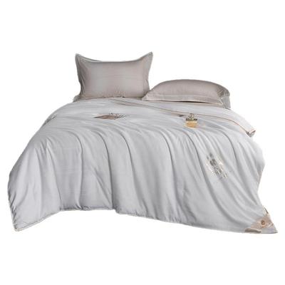 家用A类100蚕丝被二合一子母被芯