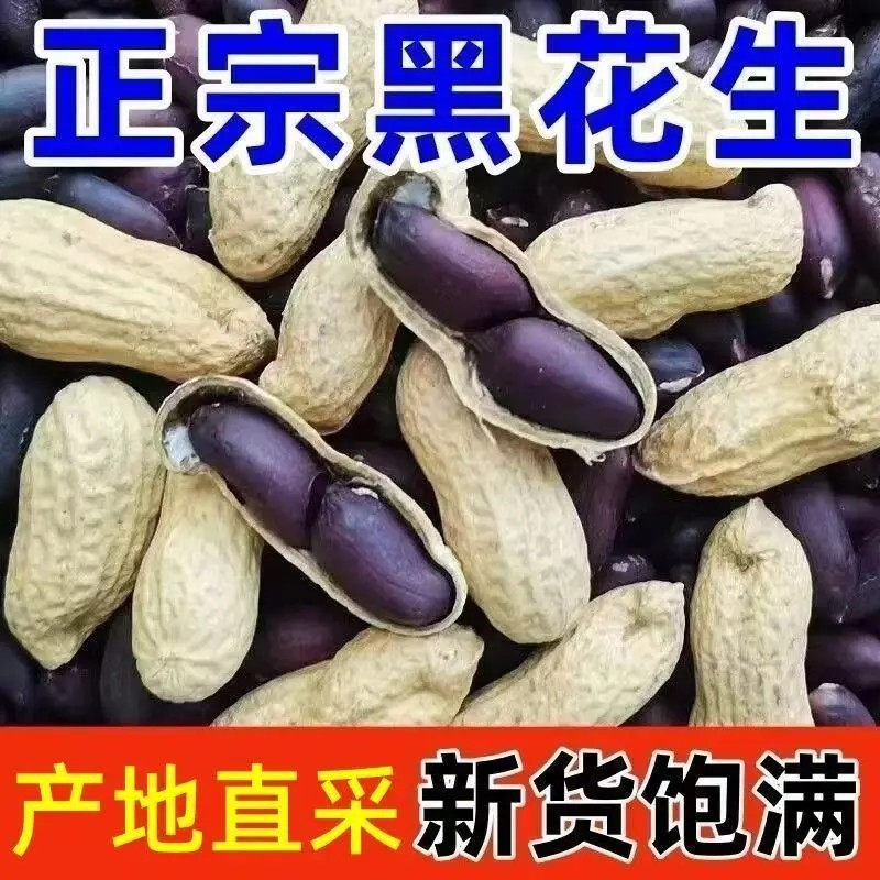 速抢【到手2斤】2025新鲜黑花生带壳生黑紫皮头茬新货生黑花生