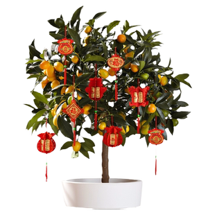 2024龙年新年盆栽挂件过年年货置办装饰场景布置吊饰春节摆件挂饰