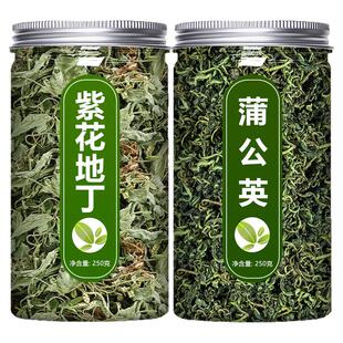 紫花地丁蒲公英茶中药材正品特级野生天然干草犁头草婆婆丁浦公英