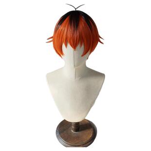 第二氏 葬送的芙莉莲 休塔尔克 拼色 头皮顶cos假发U48