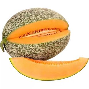 【爆甜】正宗海南哈密瓜西州密网纹蜜瓜薄皮爆甜新鲜水果当季整箱