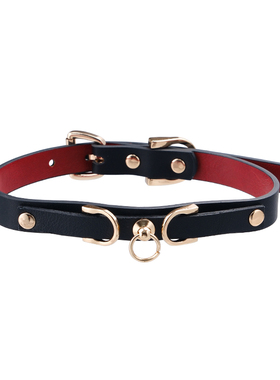 PUPPYRIDER头层牛皮黑项圈