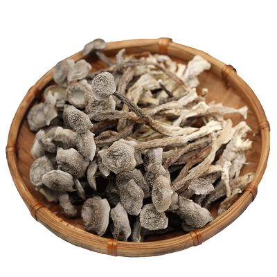 云南鹿茸菇干货特级脆脆菇500g