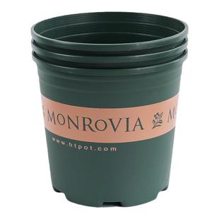 海蒂的花园花盆家用环球加仑盆塑料树脂轻便室内阳台盆栽植物种菜